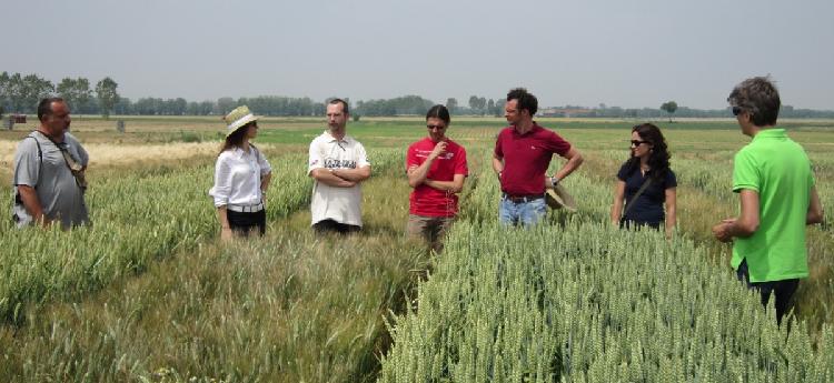 Alcuni giornalisti tra i campi prova del frumento mentre Marco Rosso, direttore di Assofertilizzanti (a destra, di spalle), spiega l’importanza della fertilizzazione per la produzione agricola e per la qualità degli alimenti